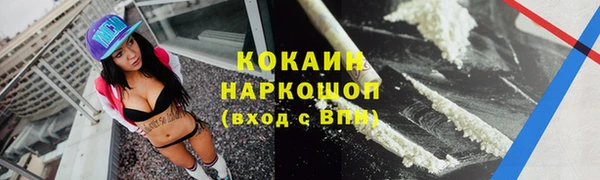 гидра Аркадак