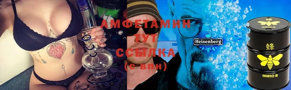 гидра Аркадак